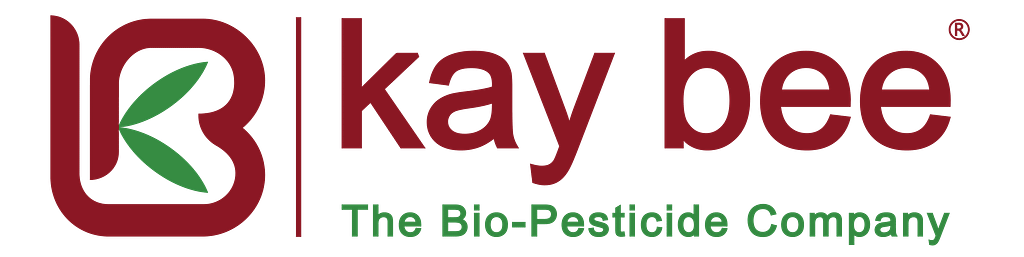 KB-Logo